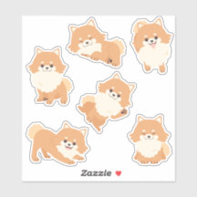 Niedlicher Spitz Welpen