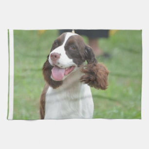 Niedlicher SpringerSpaniel Geschirrtuch