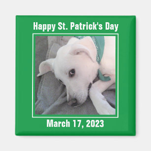 Niedlicher St. Patrick's Day Green Lazy Dog Magnet