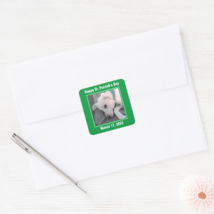 Niedlicher St. Patrick's Day Green Lazy Dog Quadratischer Aufkleber