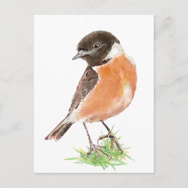 Niedlicher Stonechat, Wasserfarben-Vogelsammlung Postkarte (Vorderseite)