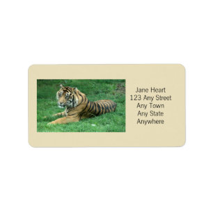 Niedlicher Sumatran Tiger in Grassohle Adressaufkleber