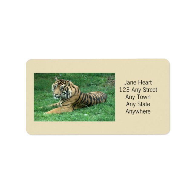 Niedlicher Sumatran Tiger in Grassohle Adressaufkleber (Vorne)
