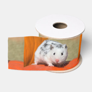 Niedlicher syrischer Hamster-weißes schwarzes Ripsband
