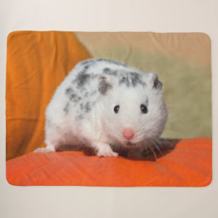Niedlicher syrischer Hamster-weißes schwarzes Sherpadecke