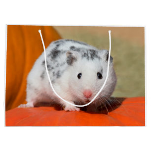 Niedlicher syrischer Hamster White Black Gepunktet Große Geschenktüte