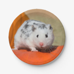 Niedlicher syrischer Hamster White Black Gepunktet Pappteller
