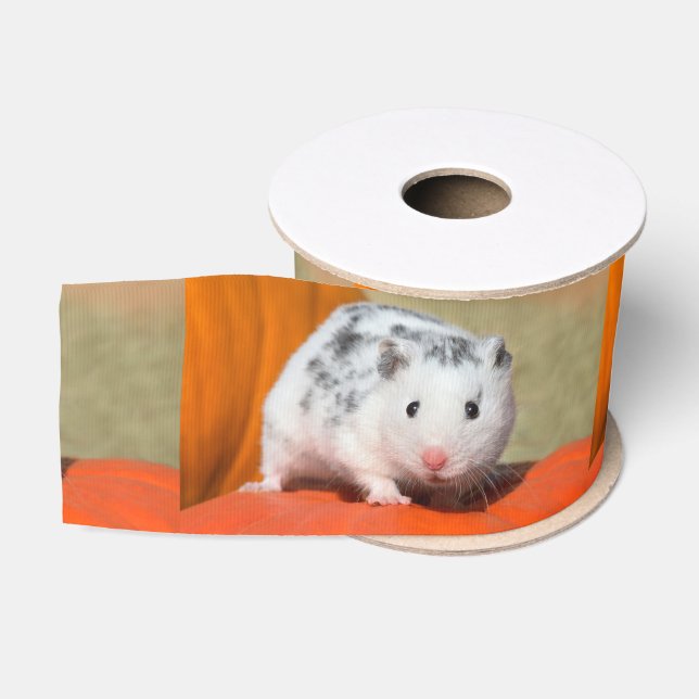 Niedlicher syrischer Hamster White Black Gepunktet Ripsband (Spule)