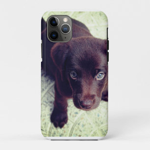 Niedlicher TelefonCase Case-Mate iPhone Hülle