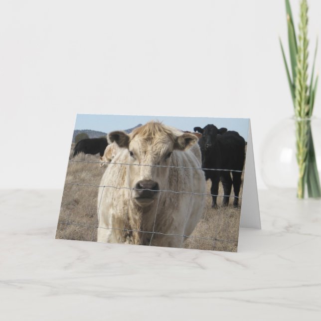 Niedlicher tierärztlicher Glückwunsch Ranch Farm D Karte (Vorderseite)