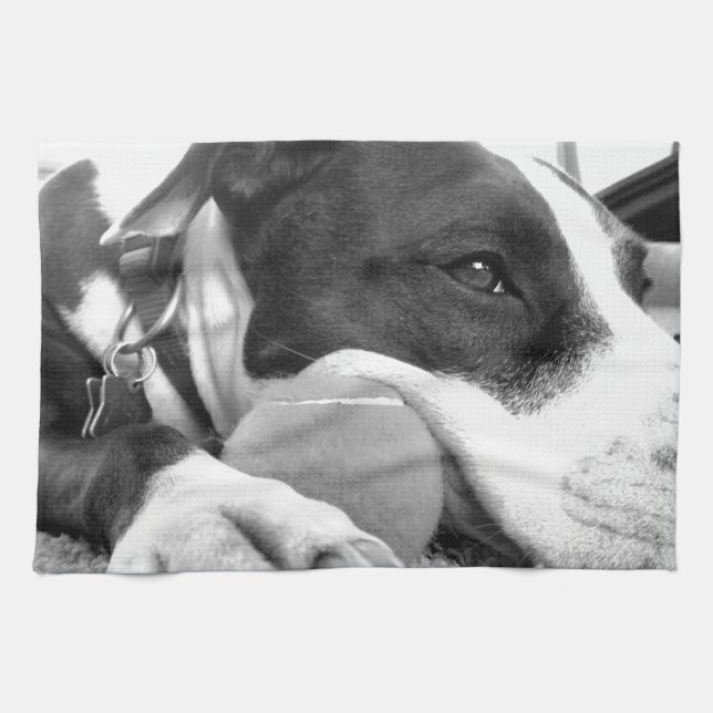 niedlicher, traurig aussehender Pitbulhund Schwarz Geschirrtuch (Horizontal)