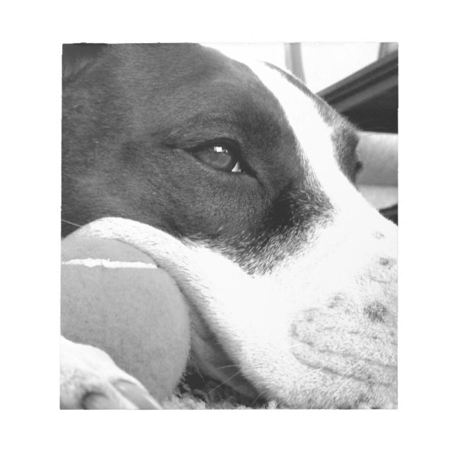 niedlicher, traurig aussehender Pitbulhund Schwarz Notizblock (Vorderseite)