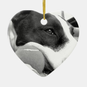 niedlicher trauriger Pitbuldog Schwarz-weiß mit K Keramikornament