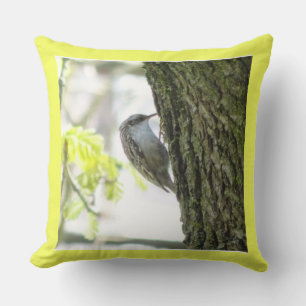 Niedlicher Treecreeper mit Nahem Kopfkissen Kissen