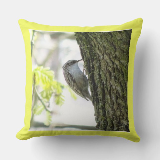 Niedlicher Treecreeper mit Nahem Kopfkissen Kissen (Vorderseite)