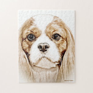 Niedlicher unbekümmerter Königcharles Spaniel