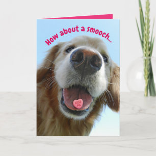 Niedlicher Valentinstag Goldener Retriever Pfiff S Karte