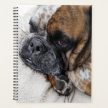 Niedlicher Viktorianischer Bulldog-Foto-Planer