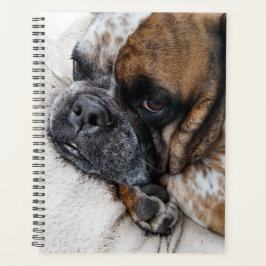 Niedlicher Viktorianischer Bulldog-Foto-Planer Planer
