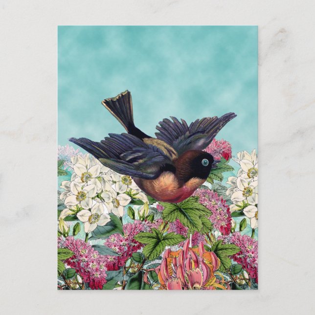 niedlicher Vogel mit blauen Augen über Blume Postkarte (Vorderseite)