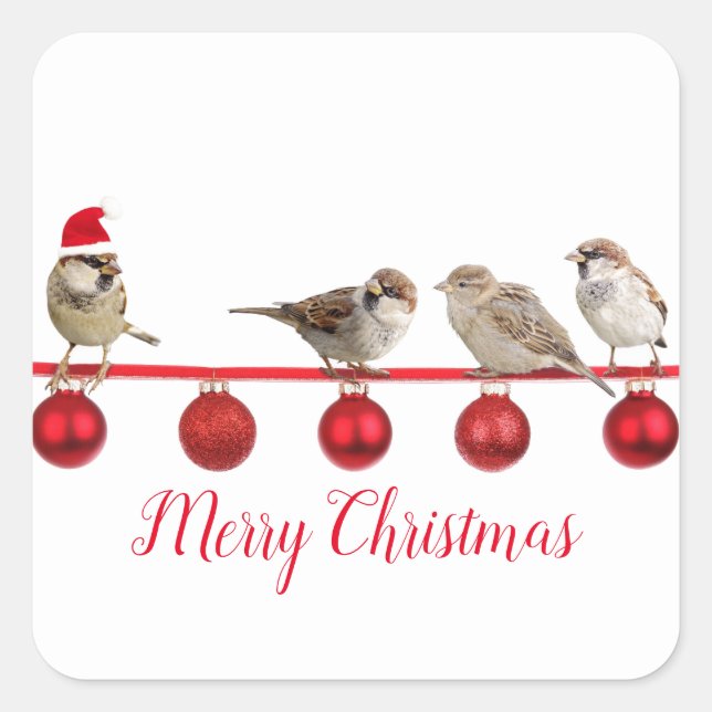 Niedlicher Vogel mit Weihnachtsmannmütze Frohe Wei Quadratischer Aufkleber (Vorderseite)