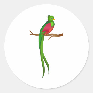 Niedlicher Vogel Quetzal Runder Aufkleber