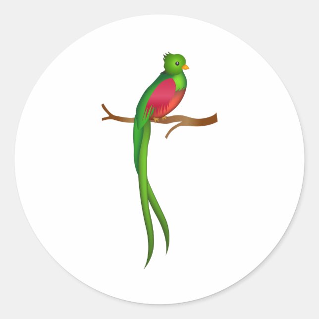 Niedlicher Vogel Quetzal Runder Aufkleber (Vorderseite)