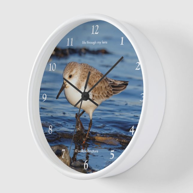 Niedlicher Wandersanderling Shorebird Sandpiper Wanduhr (Winkel)