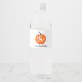 Niedlicher Wasserkürbis zum ersten Geburtstag