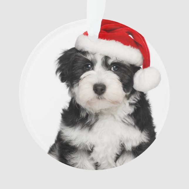 Niedlicher WeihnachtenHavanese Welpen-Hund 2 Ornament (Vorderseite)