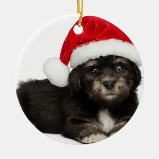 Niedlicher WeihnachtenHavanese Welpen-Hund Silbernes Ornament (Vorne)