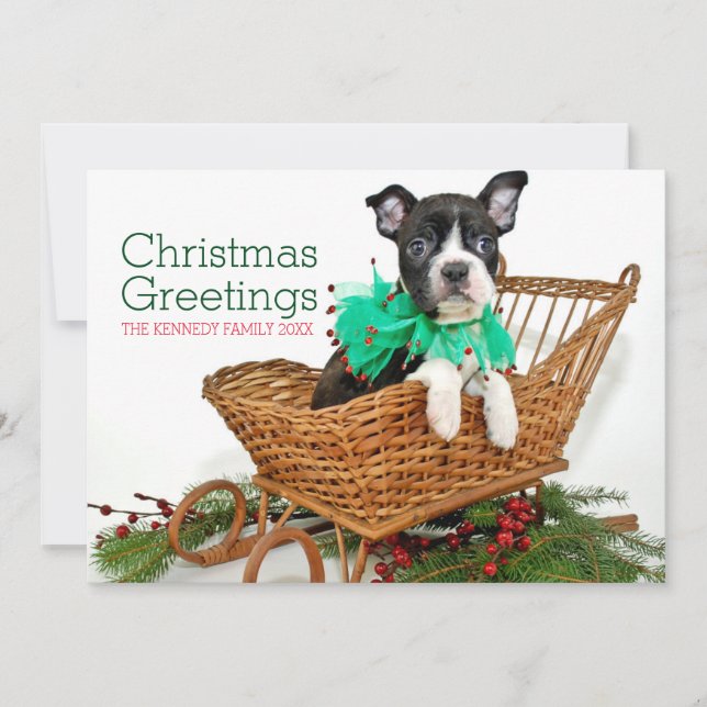 Niedlicher Weihnachtsboston-Terrierwelpe Feiertagskarte (Vorderseite)