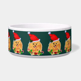 Niedlicher Weihnachtsfeiertag Napf