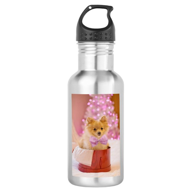 Niedlicher Weihnachtshund mit Pink Bow Foto Edelstahlflasche (Vorderseite)
