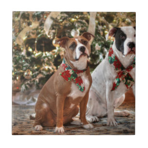 Niedlicher Weihnachtsrettungswagen und America Bul Fliese