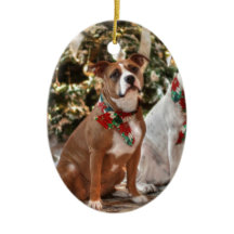 Niedlicher Weihnachtsrettungswagen und America Bul