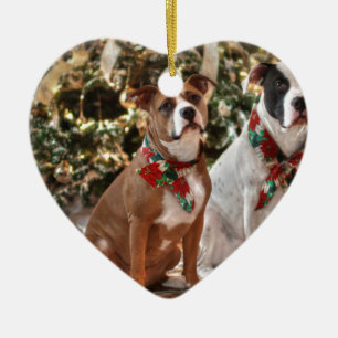 Niedlicher Weihnachtsrettungswagen und America Bul Keramikornament
