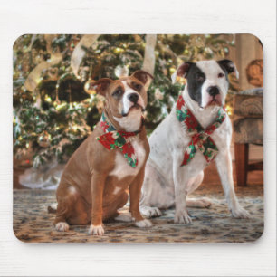 Niedlicher Weihnachtsrettungswagen und America Bul Mousepad