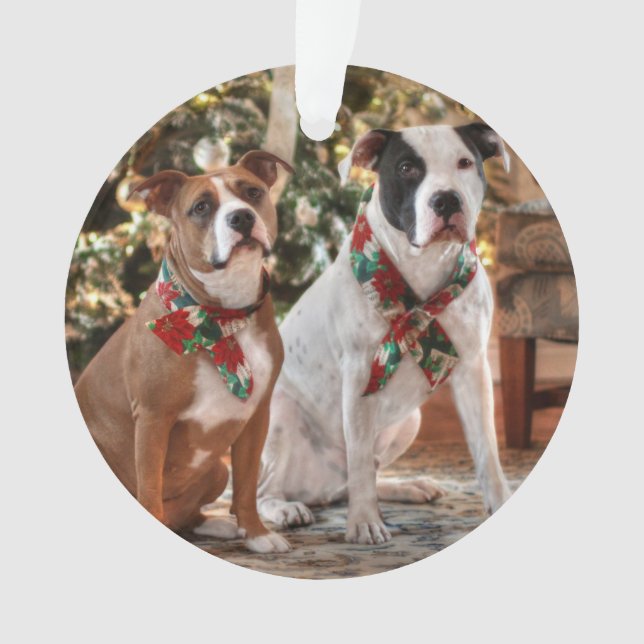 Niedlicher Weihnachtsrettungswagen und America Bul Ornament (Vorderseite)