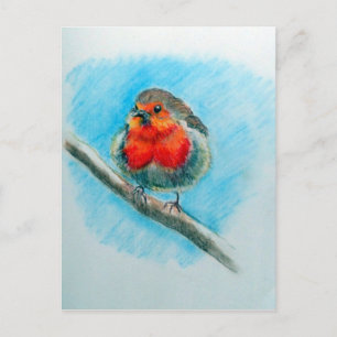 Niedlicher WeihnachtsRobin Postkarte