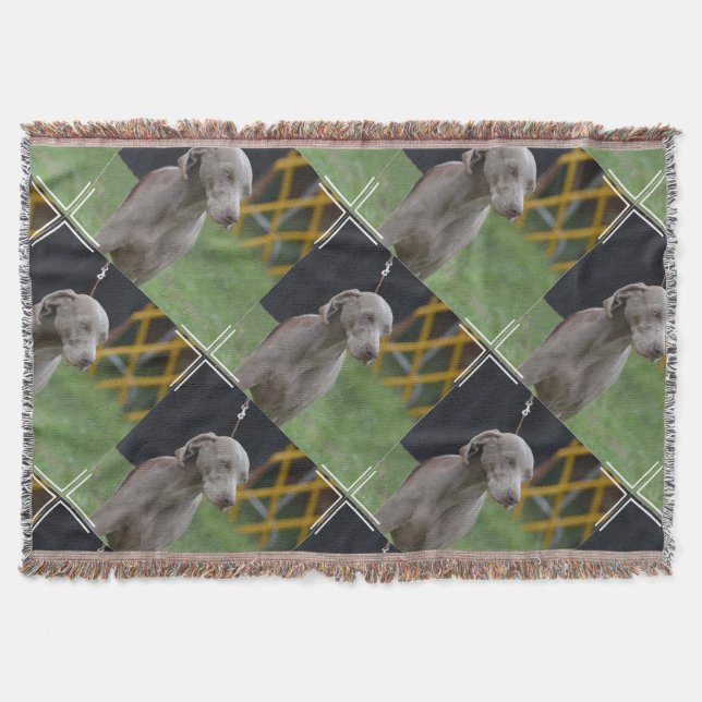 Niedlicher Weimaraner Hund Decke (Vorderseite)