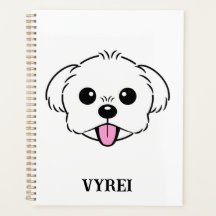 Niedlicher weißer Bichon Frise Hund klebt Zunge he