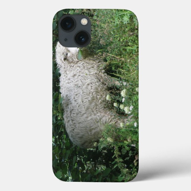 Niedlicher weißer Fliegenschaf Case-Mate iPhone Hülle (Rückseite)