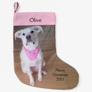 Niedlicher weißer Happy Welpe Hund mit rosa Skarf Kleiner Weihnachtsstrumpf