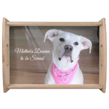 Niedlicher weißer Hund mit rosa Scarf-Mama