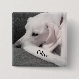 Niedlicher weißer Labrador Mix Hund Setzen Sie Ihr Button