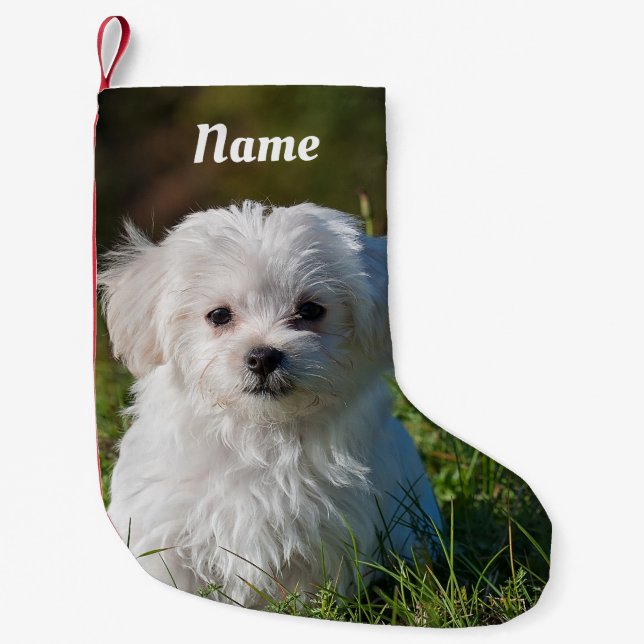 Niedlicher weißer maltesischer Welpenhund Kleiner Weihnachtsstrumpf (Vorderseite)