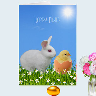 Niedlicher weißer Osterhase & Küken auf Himmelblau