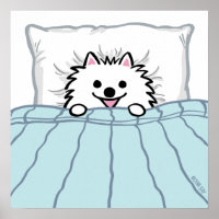 Niedlicher weißer Spitz Hund im Bett getupft