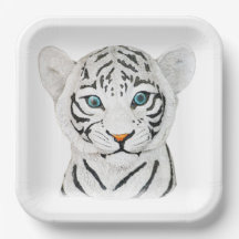 Niedlicher weißer Tiger mit blauen Augen